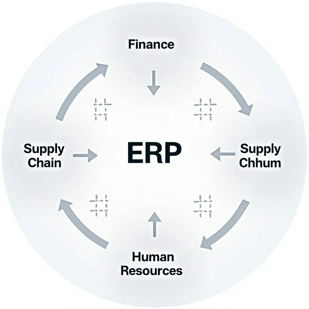 Hệ thống ERP