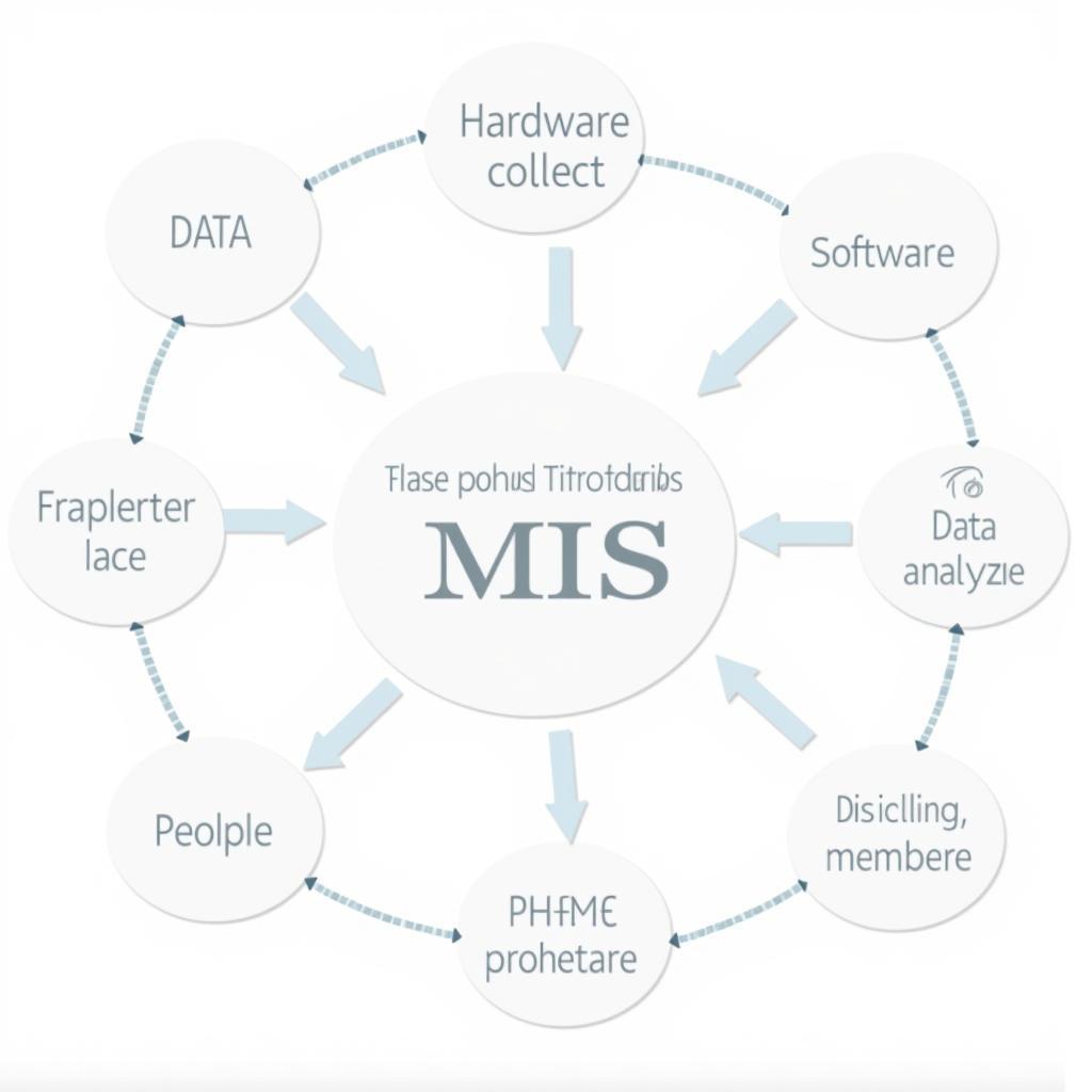 What is a Management Information System?